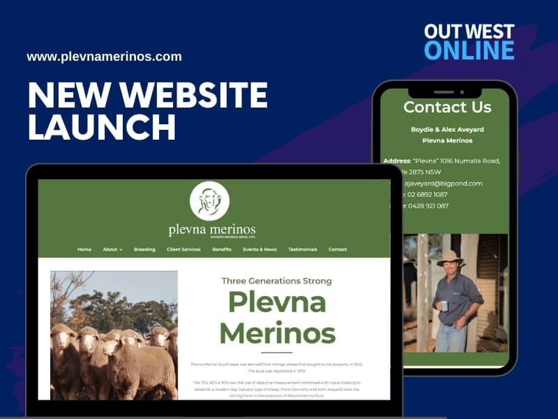 New Website Build - Plevna Merino